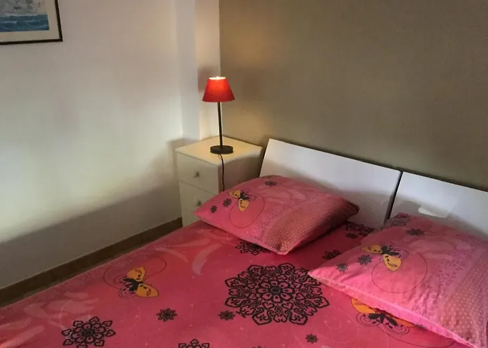 Appartement Fond De Jardin Rez-De-Chaussee